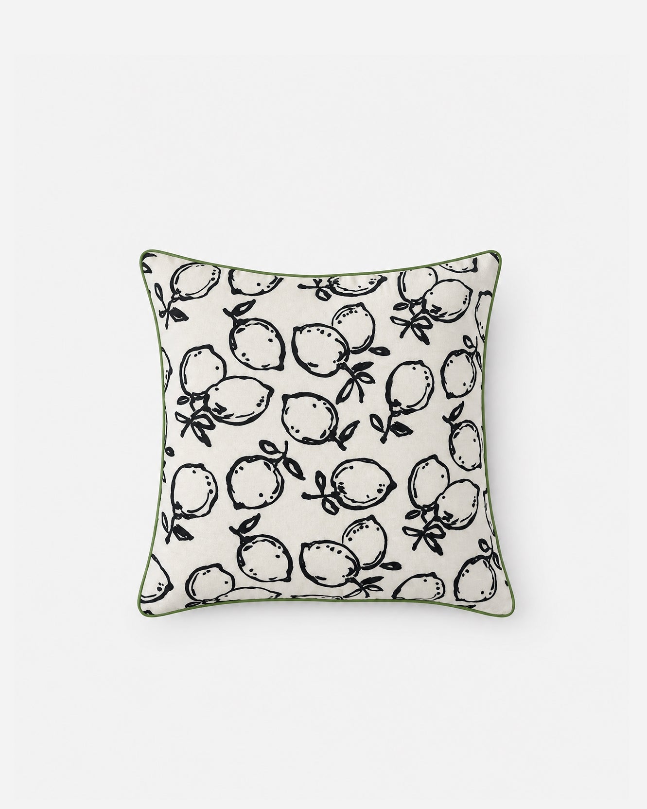 Lemone Outdoor Throw Pillow
