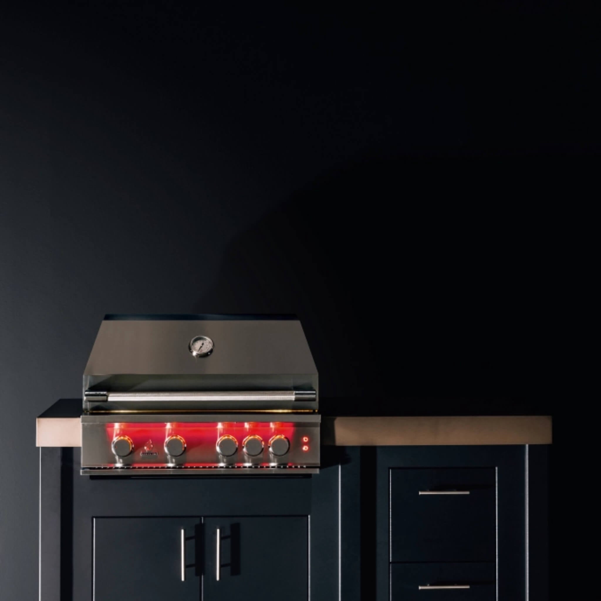 TrueFlame Luxury Built-In Gas Stainless Steel Grills