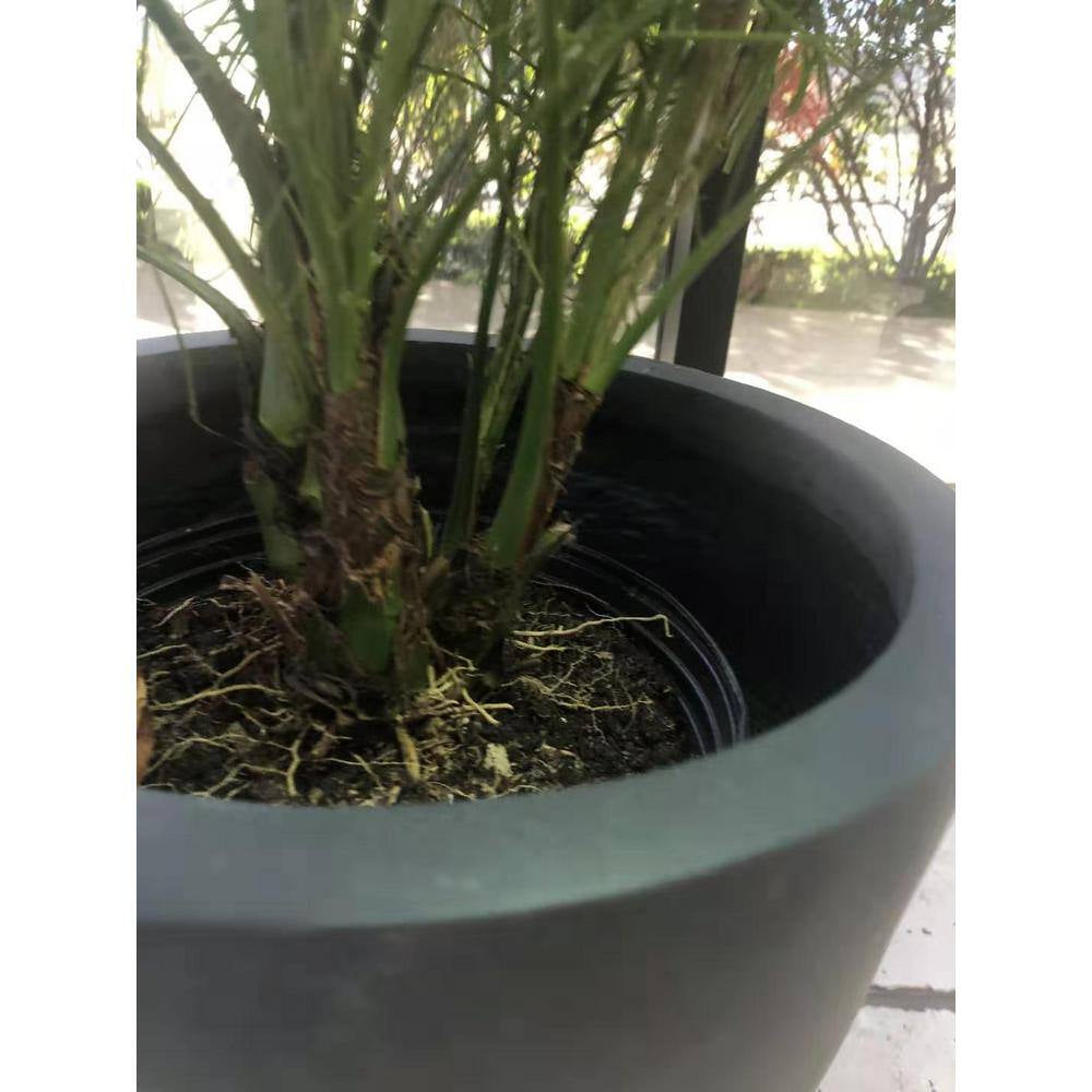 Medium 10 In. Tall Charcoal Lightweight Concrete round Outdoor Bowl Planter