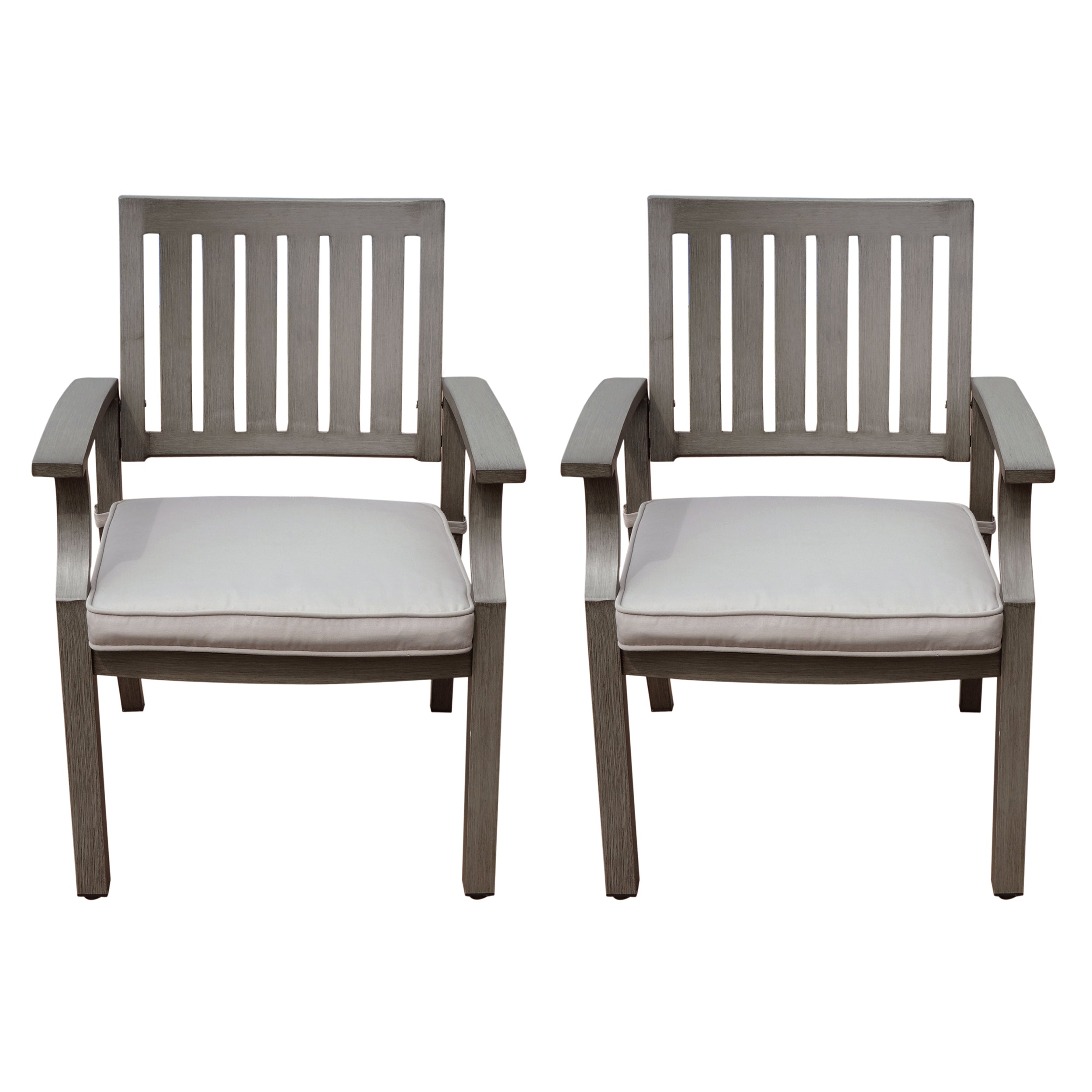 Outdoor Modern Aluminum Dining Chair with Cushion (Set of 2)