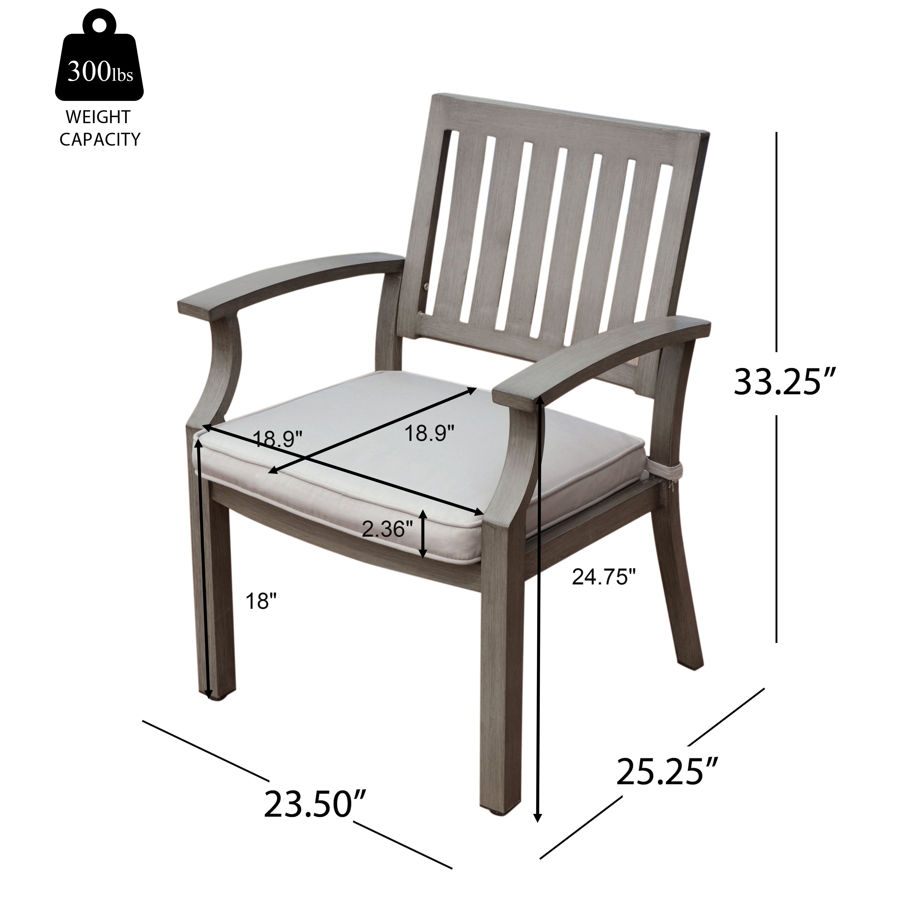 Outdoor Modern Aluminum Dining Chair with Cushion (Set of 2)