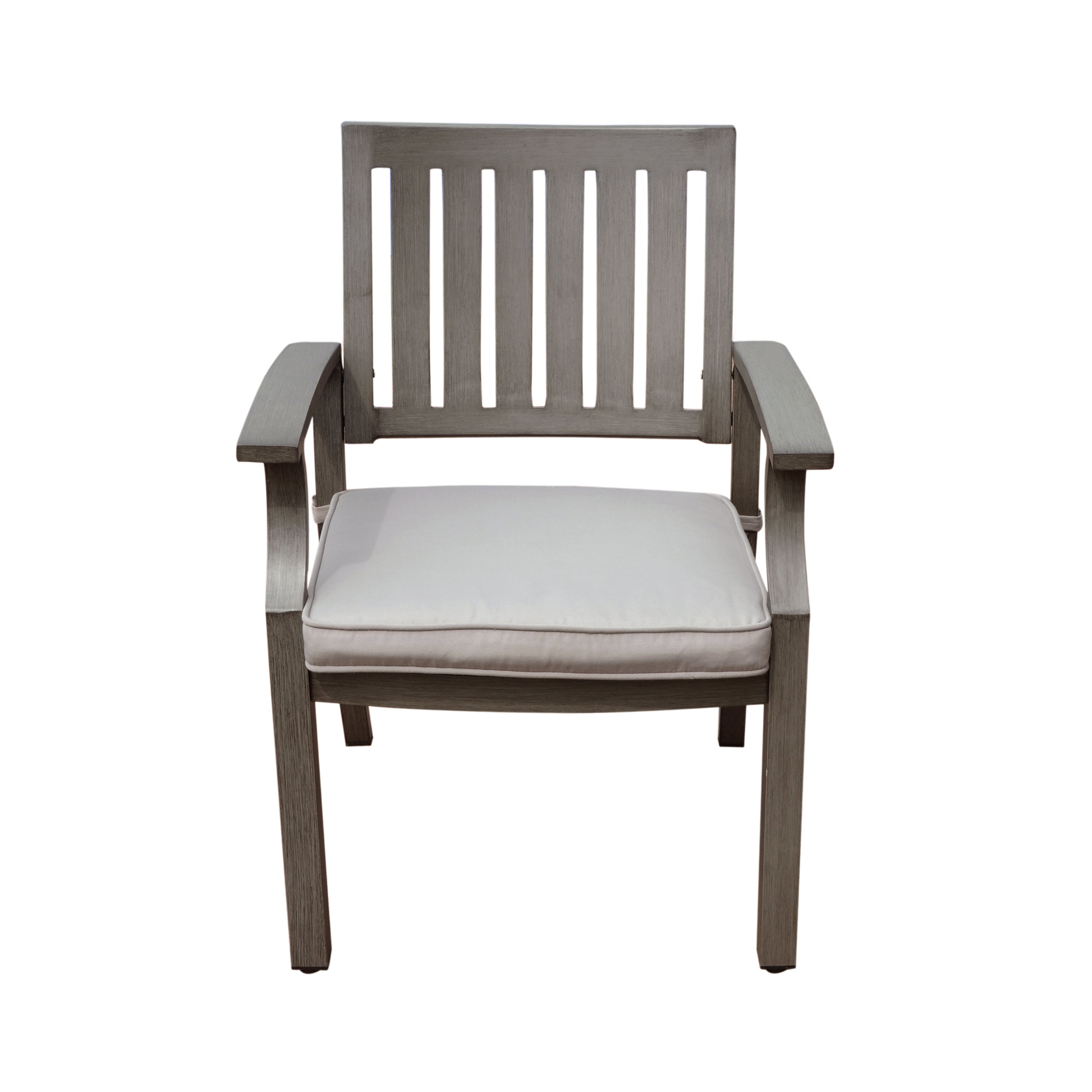 Outdoor Modern Aluminum Dining Chair with Cushion (Set of 2)