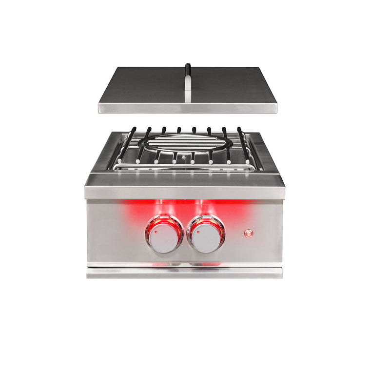 TrueFlame Power Burner