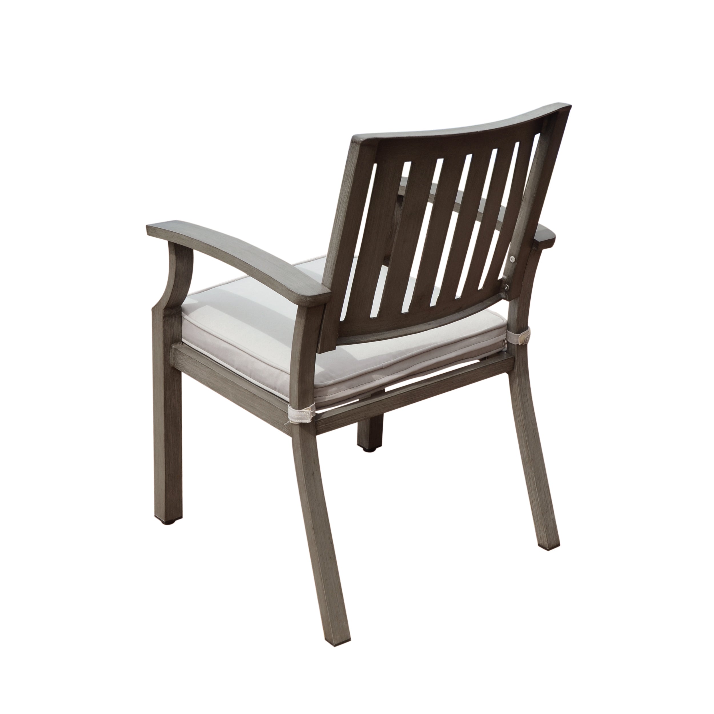 Outdoor Modern Aluminum Dining Chair with Cushion (Set of 2)
